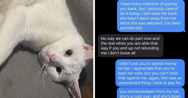 story about someone finding a lost cat and demanding money then releasing it again | thumbnail includes one picture of a white cat and a text exchange 'i have every intention of paying you back, but i seriously cannot do it today; i still need her back. she hasn't been away from me since she was adopted. i've been worried sick No way we can do part now and the rest when you are able that way if you end up not refunding me I don't loose all i didn't ask you to spend money on'