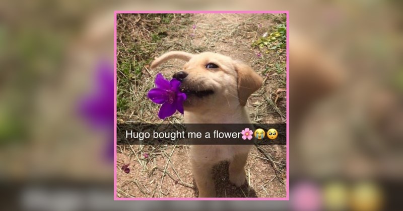 30+ Happy Cozy Critters For Resting Weekend Vibes