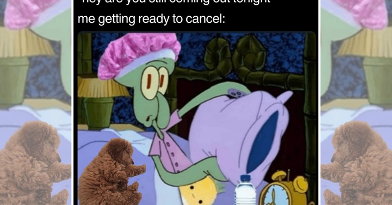 humor wholesome hilarious relatable memes relatable funny memes Memes funny Funny Memes - 45049605