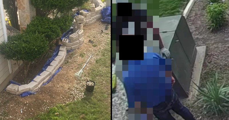 Cheezburger Image 45054213