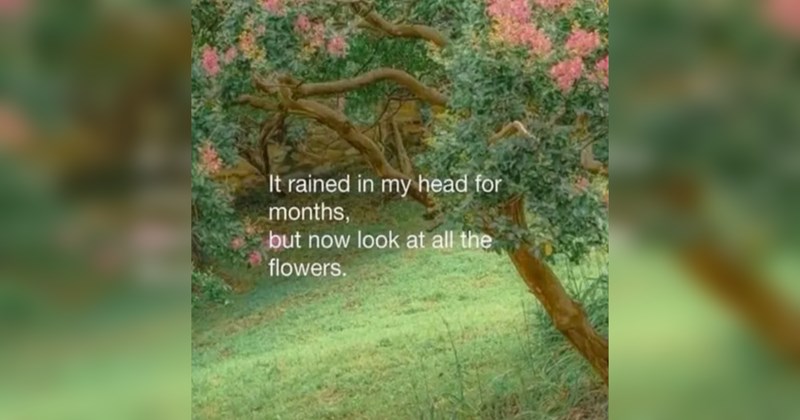 The Best Heartwarmingly Wholesome Memes and Posts of the Week