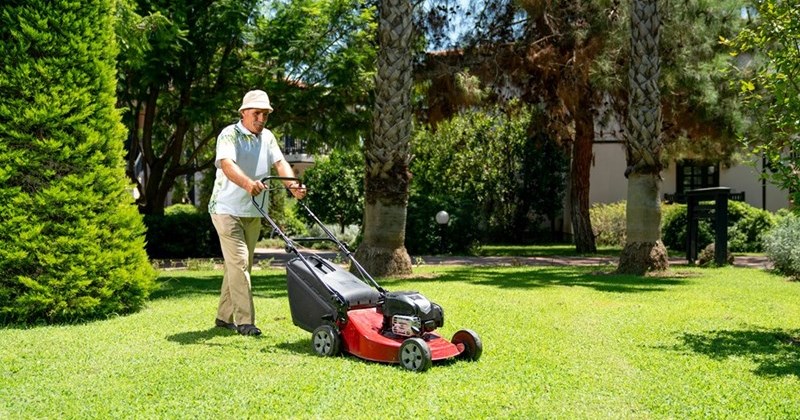 lawn mower noisy business Neighbors - 45063429