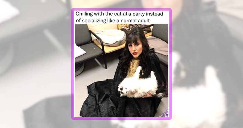 23 cat memes | thumbnail includes one meme including 'Chilling with the cat at a party instead of socializing like a normal adult'