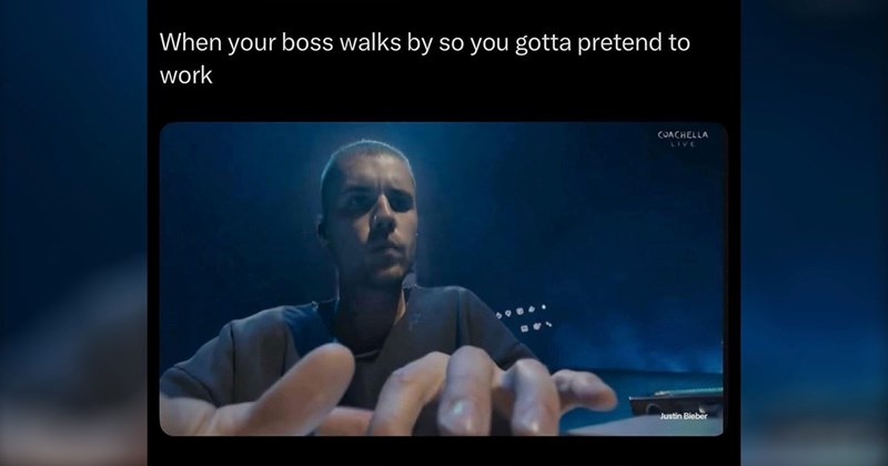 relatable memes work memes random memes silly memes funny memes Memes meme silly animal memes funny Funny Memes - 45075205