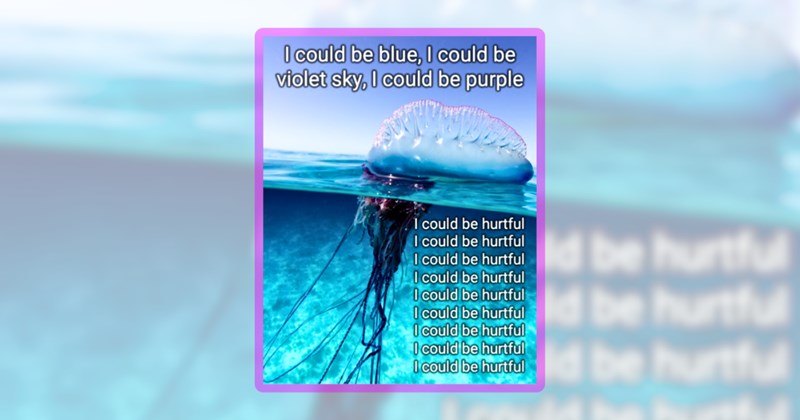 26 animal memes | thumbnail includes one meme including 'I could be blue, I could be violet sky, I could be purple I could be hurtful I could be hurtful I could be hurtful I could be hurtful I could be hurtful I could be hurtful I could be hurtful I could be hurtful I could be hurtful'