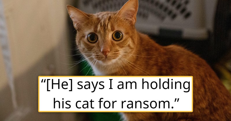 story about a homeless friend abandoning his cat for months at a friend's then coming back for it | thumbnail includes one picture of a concerned ginger cat '[He] says I am holding his cat for ransom'