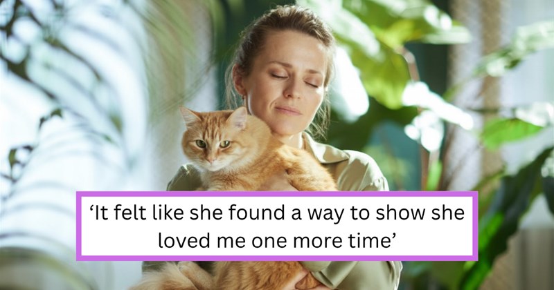 Story of a cat owner finding secret jewels and money in grandmother's chair after cat scratches a hole in it | Thumbnail includes one picture of a serene woman holding her orange cat, finding inner calm, and one picture of text including '‘It felt like she found a way to show she loved me one more time’'