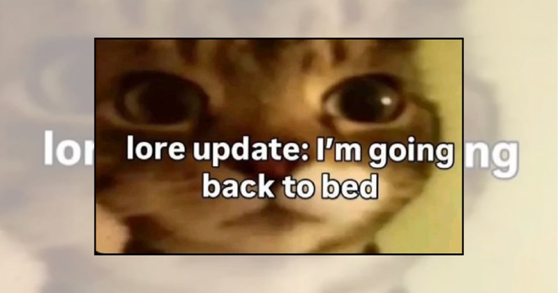 funny cat memes adorable cats funny cats Cats hilarious cats Cats cat memes sleepy cats nap time Cat Nap - 45115909