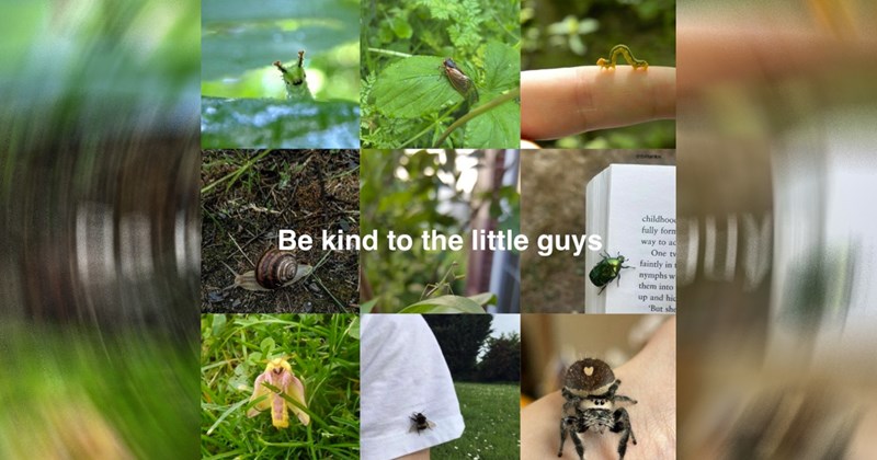 Heartwarmingly Wholesome Memes and Posts