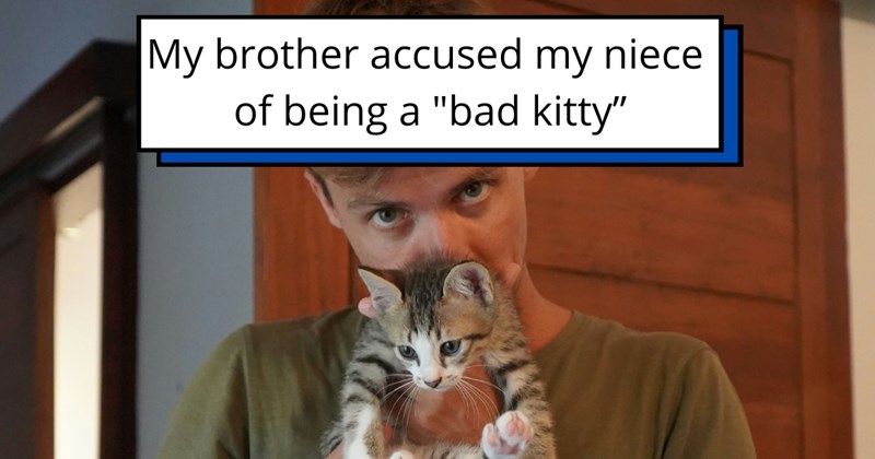 humor wholesome hilarious wholesome cats adorable cats Memes funny cats Cats - 45136389