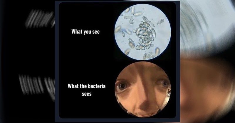 relatable memes random meme dump random memes funny memes Memes funny Funny Memes - 45140997