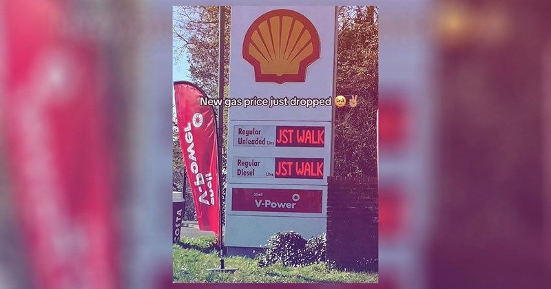 funny random memes relatable memes work memes silly memes funny memes Memes meme animal memes funny Funny Memes - 45150725