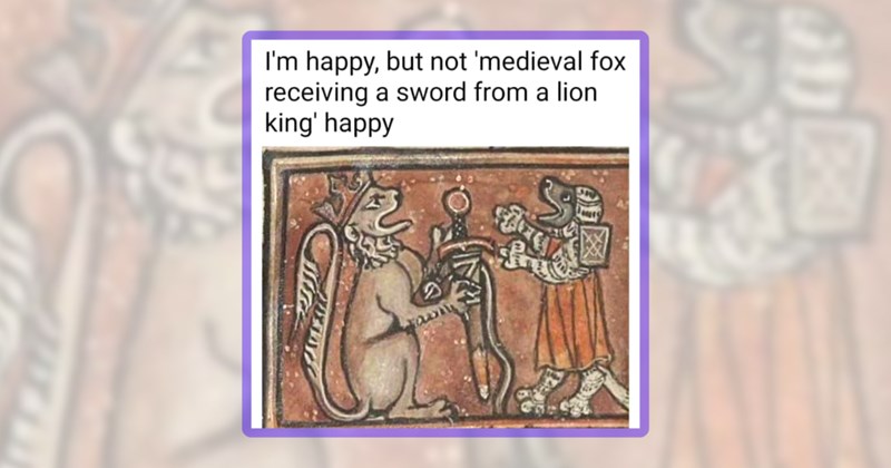 23 animal memes | thumbnail includes one meme including 'I'm happy, but not 'medieval fox receiving a sword from a lion king' happy'