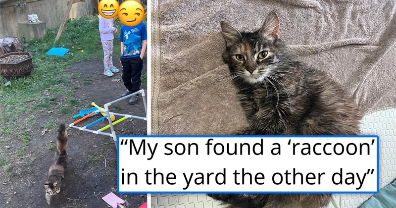 story about a boy finding a raccoon who turned out to be a kitten and convincing his mom to adopt it | thumbnail includes two pictures including kids with a cat outside and a kitten on a blanket 'My son found a ‘raccoon’ in the yard the other day'