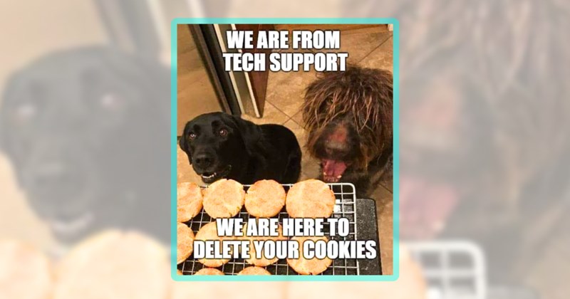 24 dog memes | thumbnail includes one meme including 'WE ARE FROM TECH SUPPORT WE ARE HERE TO DELETE YOUR COOKIES'