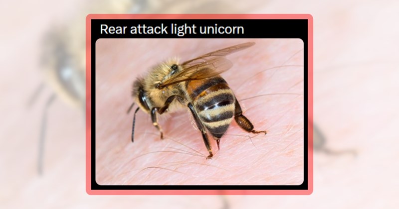 23 bug memes | thumbnail includes one meme including 'Rear attack light unicorn'