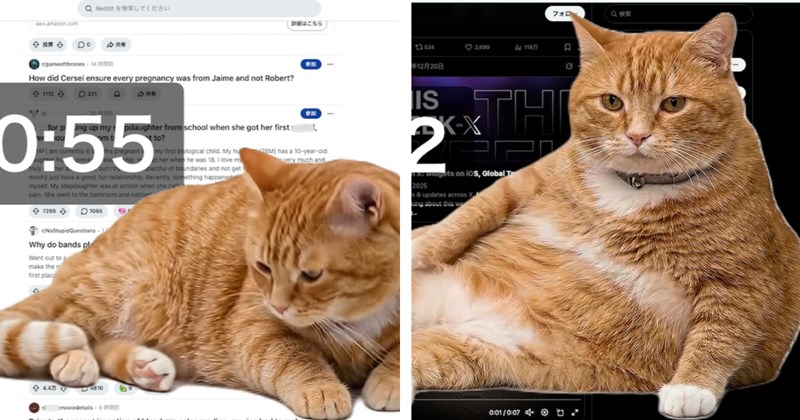 Video and information about a Chrome extension called "Cat Gatekeeper" | Thumbnail includes two pictures of an orange cat on a computer screen including 'aws.amazon.com Q Reddit を検索してください ⇧ 投票 → 0° ⇒ 共有 詳細はこちら r/gameofthrones- 14 How did Cersei ensure every pregnancy was from Jaime and not Robert? +1112+ 331 r/AmitheAle - 20 ⇨共有 for ping up my pdaughter from school when she got her first 0:55 4F) am currently truly t to? ths pregnant my first biological child. My hu hip. Hd her when he'