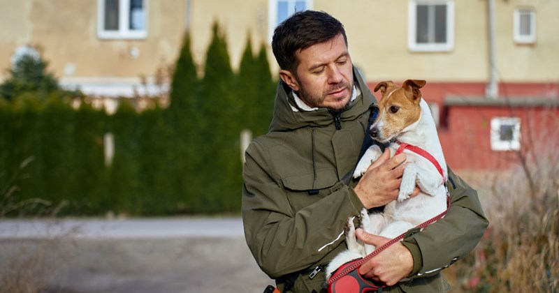 neighbors dogsitting entitled people Neighbors - 45176581