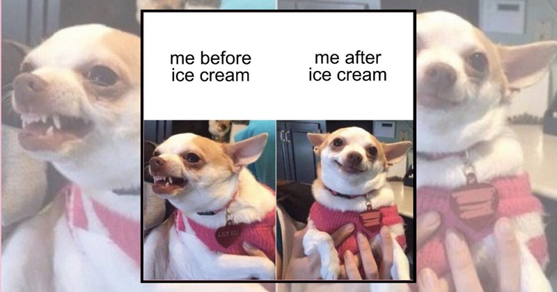 humor wholesome hilarious spring relatable memes summer relatable funny memes ice cream Memes funny Funny Memes - 45178117