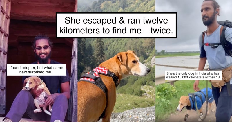 Video and story of a backpacker adopting a dog that refused to leave him | Thumbnail includes one picture of a man and a dog including 'I found adopter, but what came next surprised me.', one picture of a dog in nature including 'She escaped & ran twelve kilometers to find me-twice.', and one picture of a backpacker and a dog including 'She's the only dog in India who has walked 15,000 kilometers across 13'