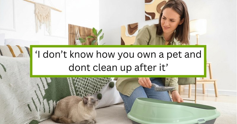 Story of a roommate threatening to sell her roommate's cat because of cleanliness issues | Thumbnail includes a picture of a woman with a disgusted face cleaning her cat's litter box, and one picture of text including '‘I don’t know how you own a pet and dont clean up after it’'