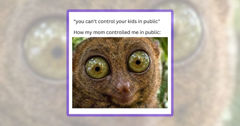 25 animal memes | thumbnail includes one meme including '"you can't control your kids in public" How my mom controlled me in public:'