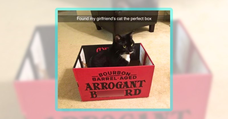 27 cat memes | thumbnail includes one meme including 'Found my girlfriend's cat the perfect box BOURBON BARREL-AGED ARROGANT BAS**RD'