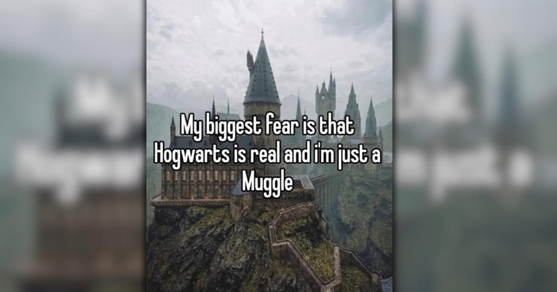 The Most Magical Harry Potter Memes to Take On an Express Train Ride to Hogwarts