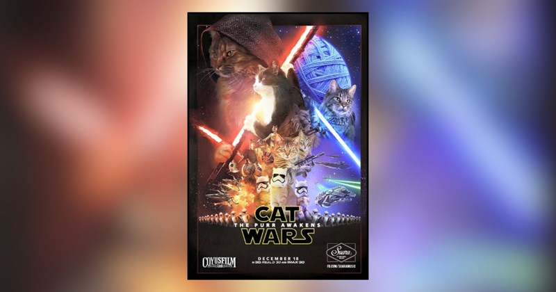 23 cat memes | thumbnail includes one meme and one picture of text including 'CAT...... THE PURR AWAKENS WARS' 