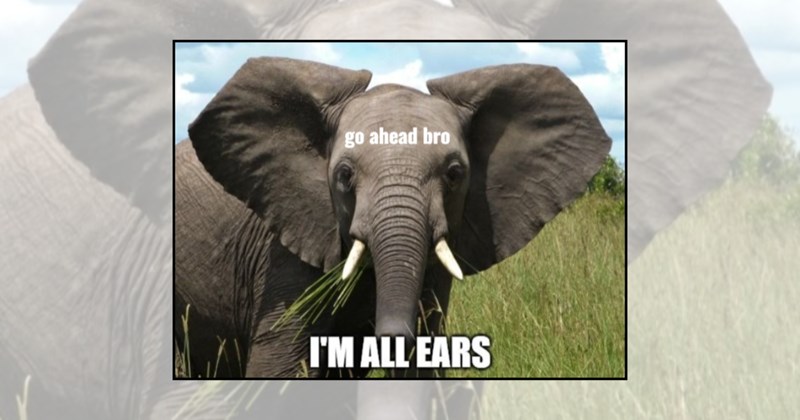 baby elephants hilarious elephant cute animal memes elephant memes funny animal memes animal memes funny animals animals Animals - 45223941