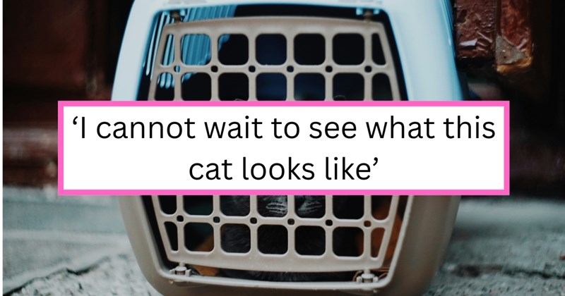 Story of woman changing seats on airplane because of a cat | Thumbnail includes one picture of A close-up of a cat in a pet carrier, and one picture of text including ''I cannot wait to see what this cat looks like''
