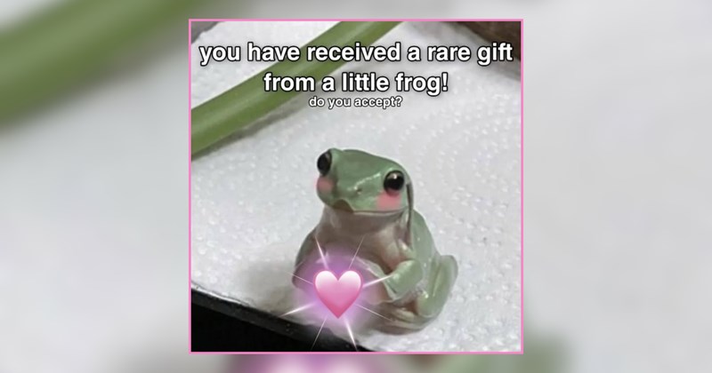 22 Frolicking Frogs Full of Funky Forest Frenzy