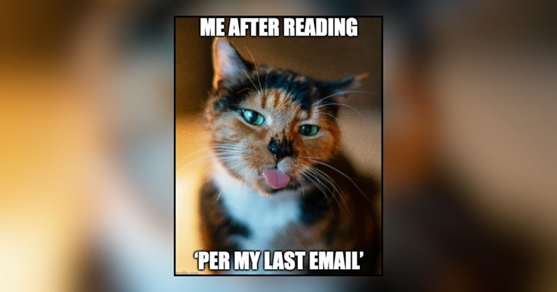 20 cat memes | thumbnail includes one meme and one picture of text including 'ME AFTER READING PER MY LAST EMAIL' 