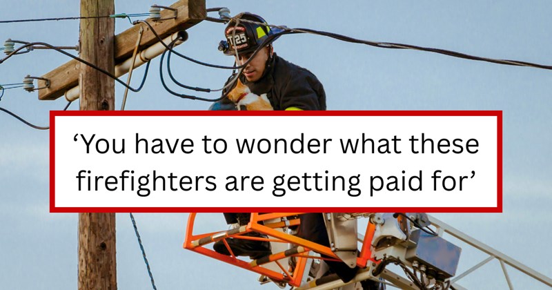 Story of cat owner leaving one star review over firefighters not rescuing her cat stuck in a tree | Thumbnail includes one picture of a man saving a cat on utility post, and one picture of text including '‘You have to wonder what these firefighters are getting paid for’'