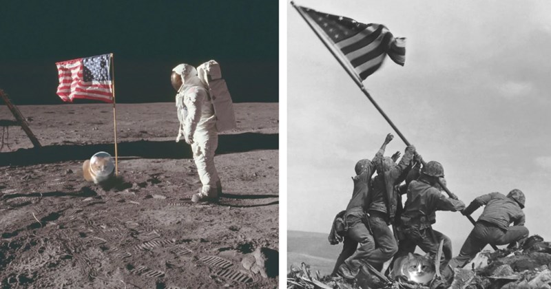 27 pictures of cats photoshopped into other pictures | Thumbnail includes one picture of a cat at the moon landing, and one picture of a cat at the "Raising the Flag on Iwo Jima"