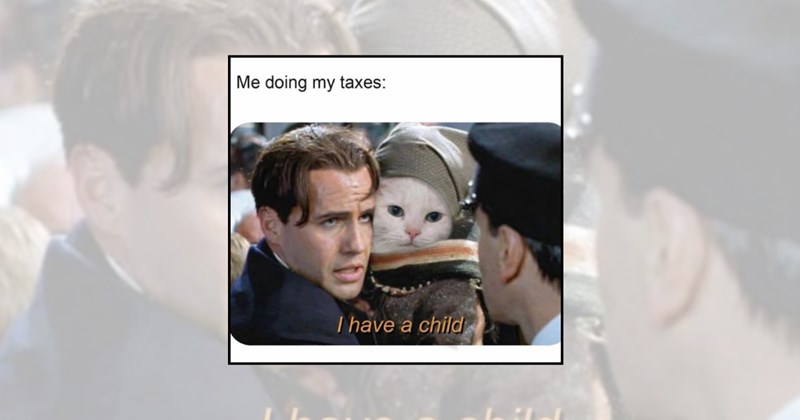 funny cat memes lolcats hoomans relatable memes lol funny cats pawrents Cats cat memes pawrenting Cats cat parents - 45251589