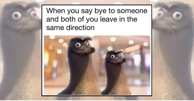 humor wholesome hilarious relatable memes relatable funny memes Memes funny Funny Memes - 45280517