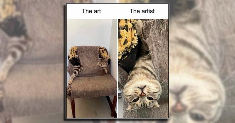 humor wholesome art masterpieces kitten feline comedy Cats funny animals Cats - 45294085