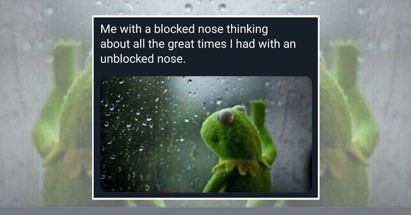humor wholesome hilarious relatable memes relatable funny memes Memes funny Funny Memes - 45296901