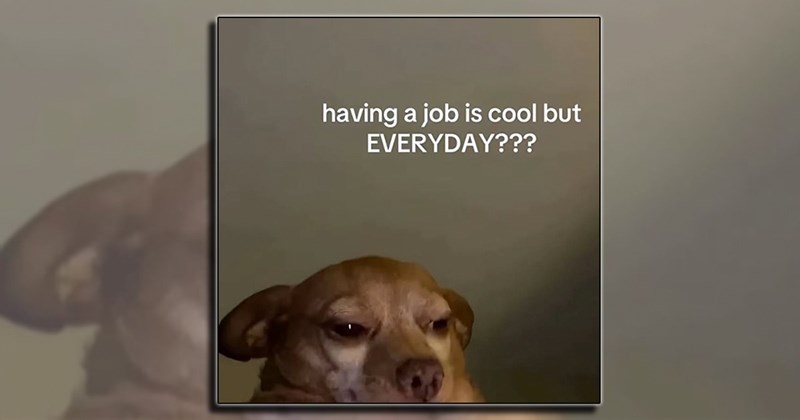 therapist memes