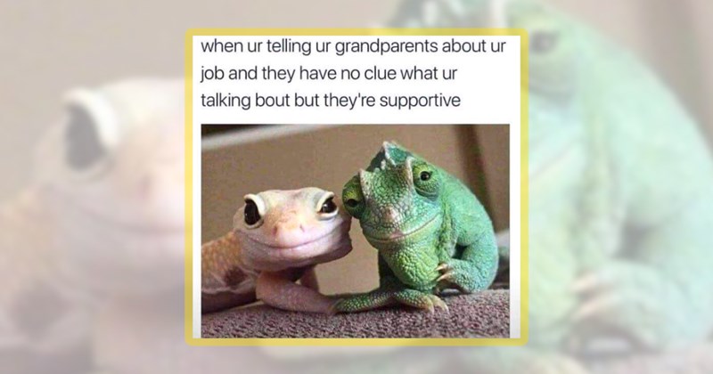 22 lizard memes | thumbnail includes one meme including 'when ur telling ur grandparents about ur job and they have no clue what ur talking bout but they're supportive'