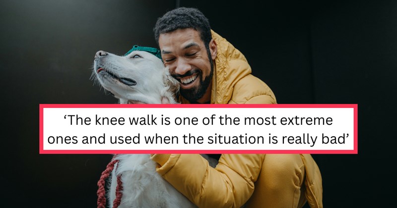 Questions and answers for a man promising to climb uphill on his knees if he finds his lost dog | Thumbnail includes one picture of a happy young man hugging his dog outdoors, and one picture of text including ''The knee walk is one of the most extreme ones and used when the situation is really bad''