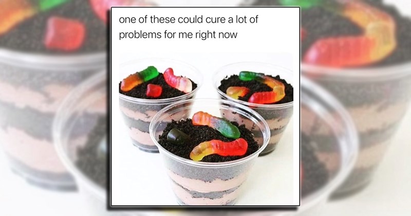 cake humor Sweet Treats bakery comedy baked goods dessert food funny foodie Funny Memes - 45328389