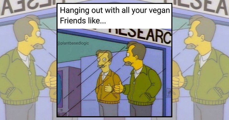 humor wholesome hilarious relatable memes relatable funny memes Memes vegan funny Funny Memes - 45329413