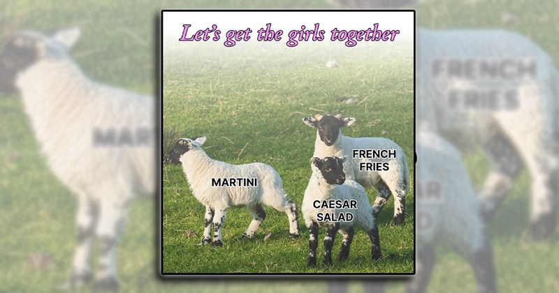 girls night out memes
