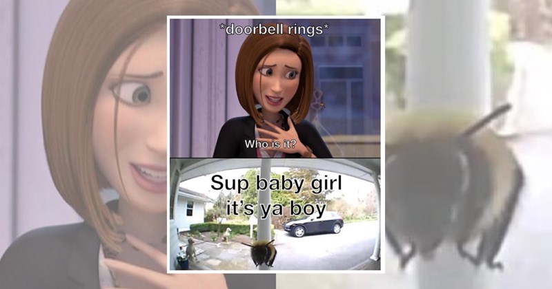 humor wholesome hilarious relatable memes relatable funny memes Memes funny Funny Memes - 45359365