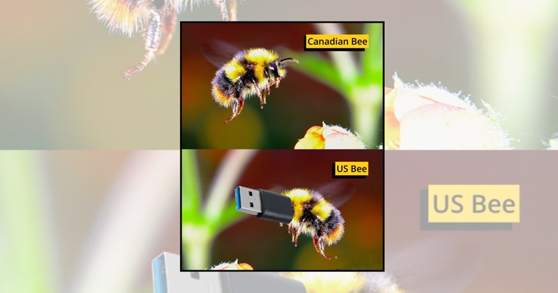 insects bugs cute animal memes funny memes bees a bugs life funny animal memes bee memes funny animals Animals - 45376261