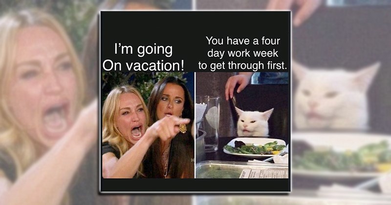 everyday memes
