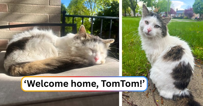 24 text pictures, 13 cat pictures | thumbnail includes two pictures of a cat, and ‘Welcome home, TomTom!’