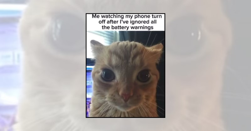 mood charger relatable memes low battery phone funny memes recharge phone charger too relatable low battery memes Funny Memes power saving - 45397765